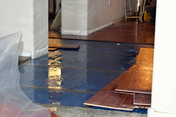 Professional Water Damage Restoration technician working in Calera, AL